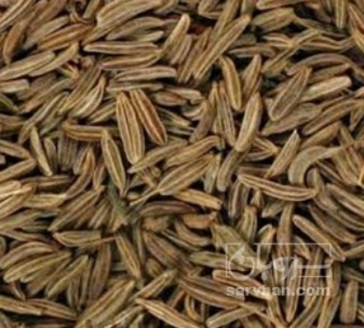 فروش زیره (گیاه‌ دارویی)