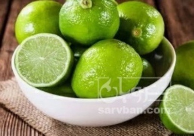 فروش لیمو ترش