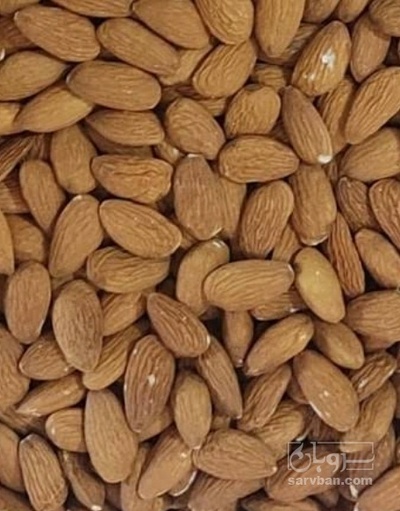 فروش مغز  بادام