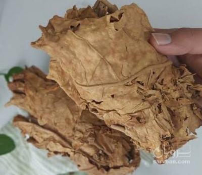 فروش تنباکو تند (گیاه‌ دارویی)