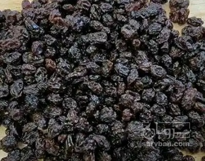 فروش مویز