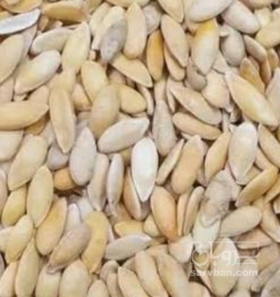 فروش تخمه خربزه  بو داده