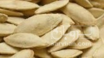فروش تخمه  کدو بو داده