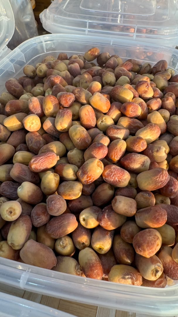 فروش خرما زاهدی