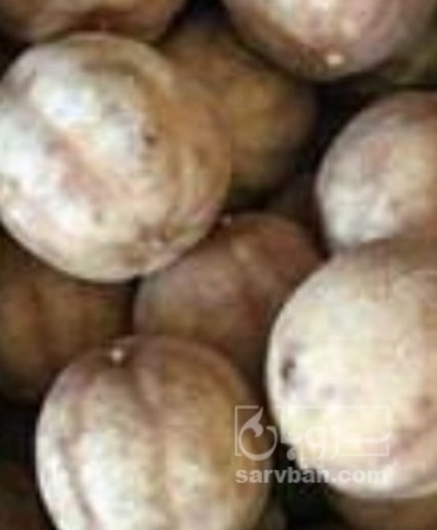فروش لیمو خشک