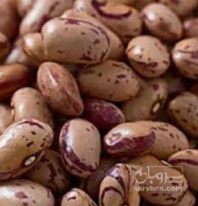 فروش لوبیا چیتی