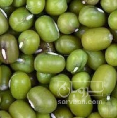 فروش ماش