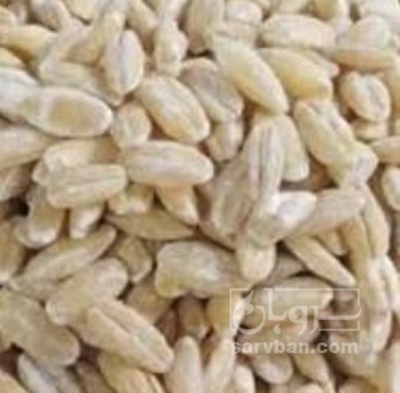 فروش جو پوست کنده