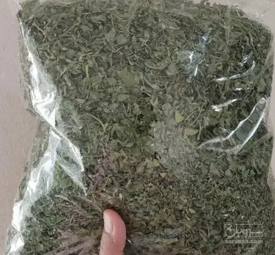 فروش شنبلیله (گیاه‌ دارویی)