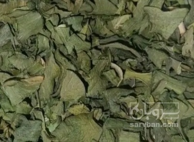 فروش نعناع خشک (گیاه‌ دارویی)