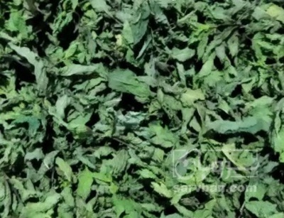 فروش تره خشک