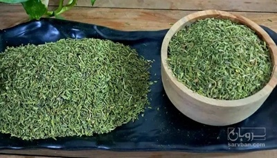 فروش گشنیز خشک