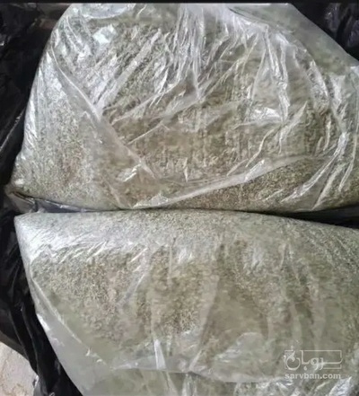 فروش پونه (گیاه‌ دارویی)