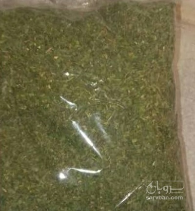 فروش نعناع خشک (گیاه‌ دارویی)