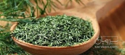 فروش شوید خشک (گیاه‌ دارویی)
