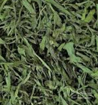 فروش تره خشک