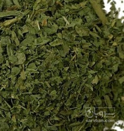 فروش گشنیز خشک