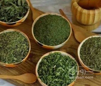 فروش شوید خشک (گیاه‌ دارویی)