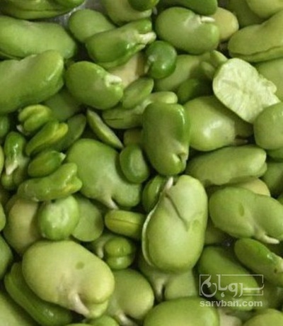 فروش لپه باقالی