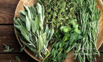 فروش تره خشک