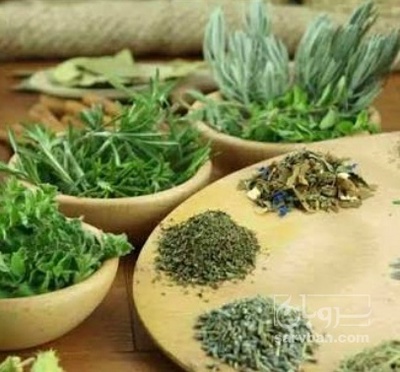 فروش شوید خشک (گیاه‌ دارویی)