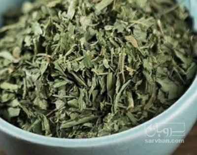 فروش اسفناج خشک