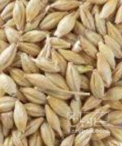 فروش جو