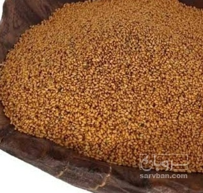 فروش کاملینا (کتان‌کش)