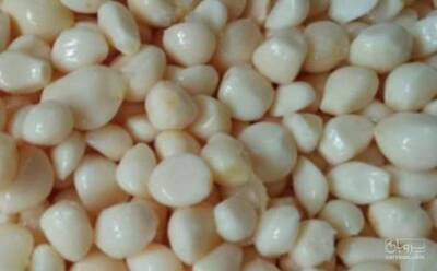 فروش سیر