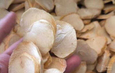 فروش موسیر