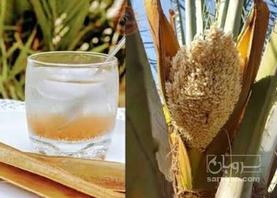 فروش عرق طارونه