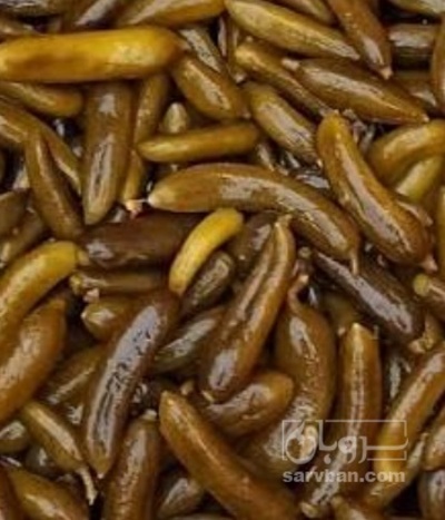 فروش خیار شور فیت دار