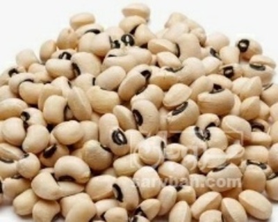 فروش لوبیا چشم بلبلی