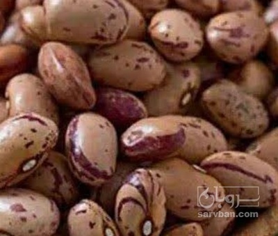 فروش لوبیا چیتی