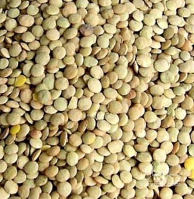 فروش عدس