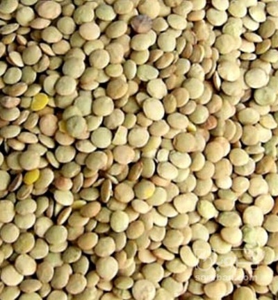 فروش عدس