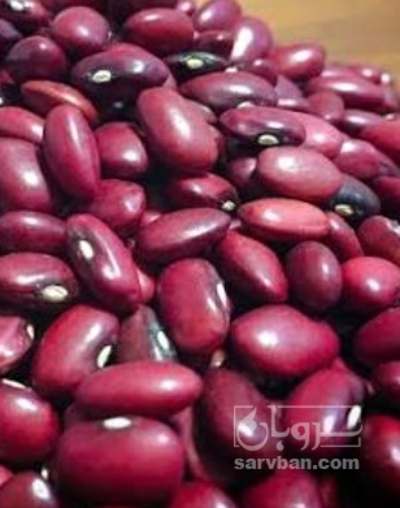 فروش لوبیا قرمز