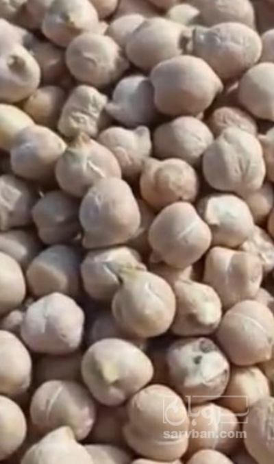 فروش نخود
