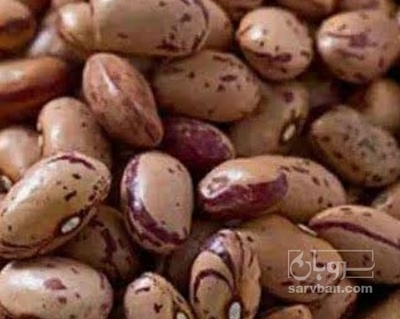 فروش لوبیا چیتی