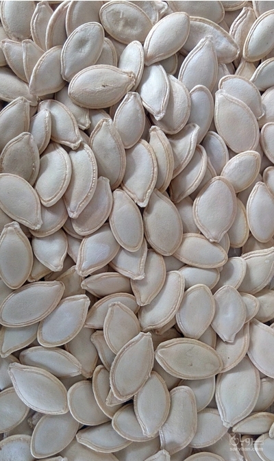 فروش روغن تخم کدو