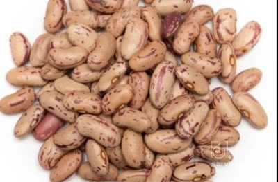 فروش لوبیا چیتی