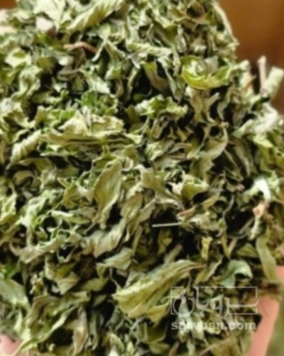 فروش نعناع خشک (گیاه‌ دارویی)