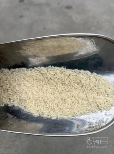 فروش برنج