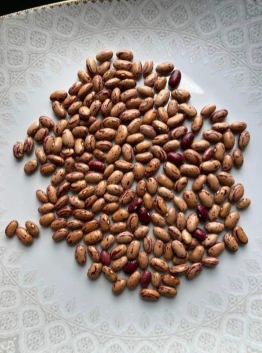 فروش لوبیا چیتی