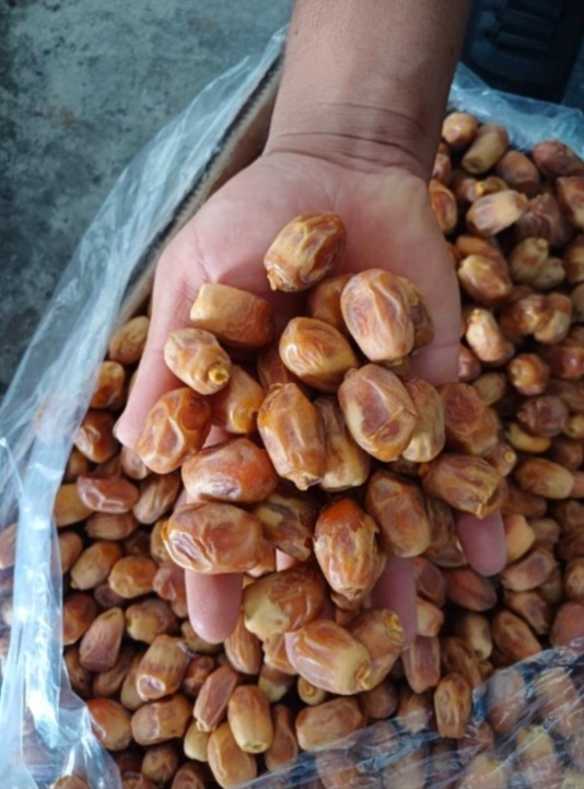 فروش خرما