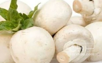فروش قارچ دکمه ای