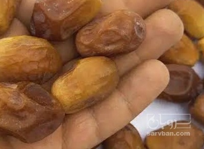فروش خرما زاهدی