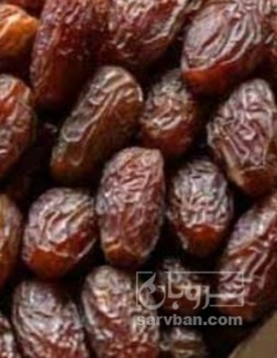 فروش خرما شاهانی