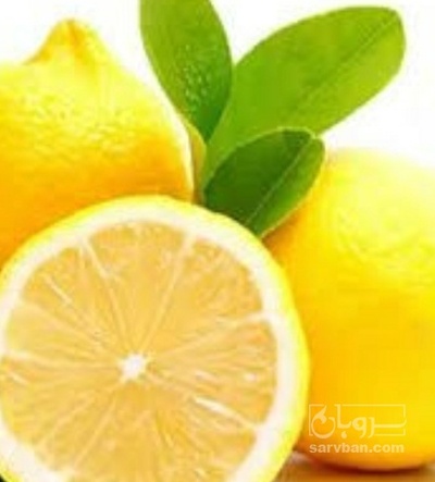 فروش لیمو ترش