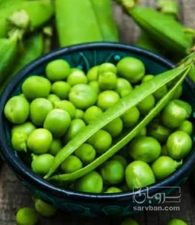 فروش نخود فرنگی